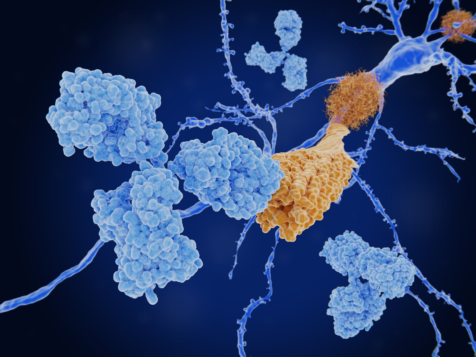 In-solution measurement of antibody affinities and binding stoichiometries to neurotoxic amyloid species